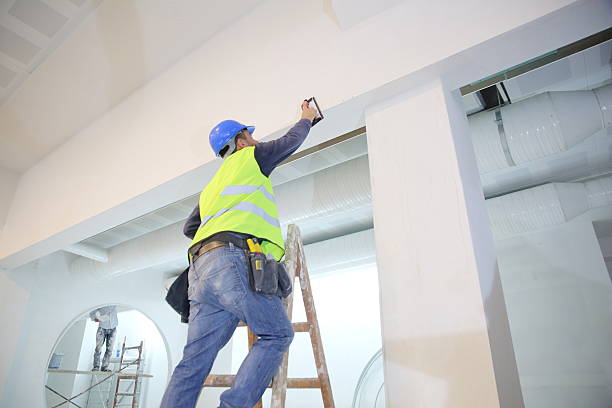Auburndale, FL Mold Removal Company